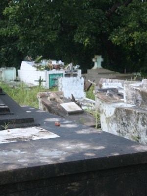 死ぬならコロナで