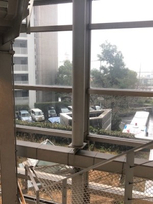 いっそのこと出しちゃえば