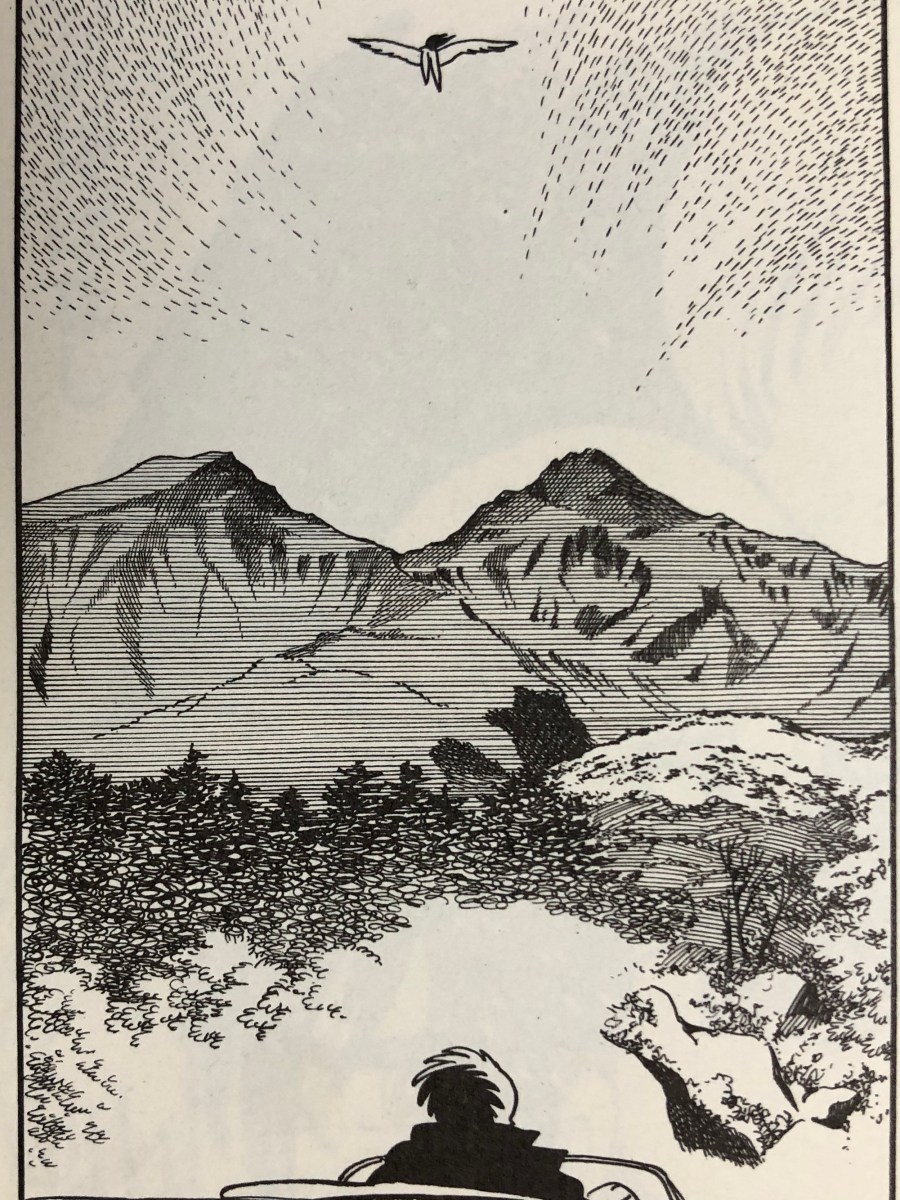 日本語教育能力検定試験やよのさ（８）