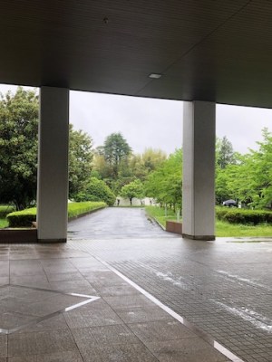 牛よ龍よの東日本入管（１）