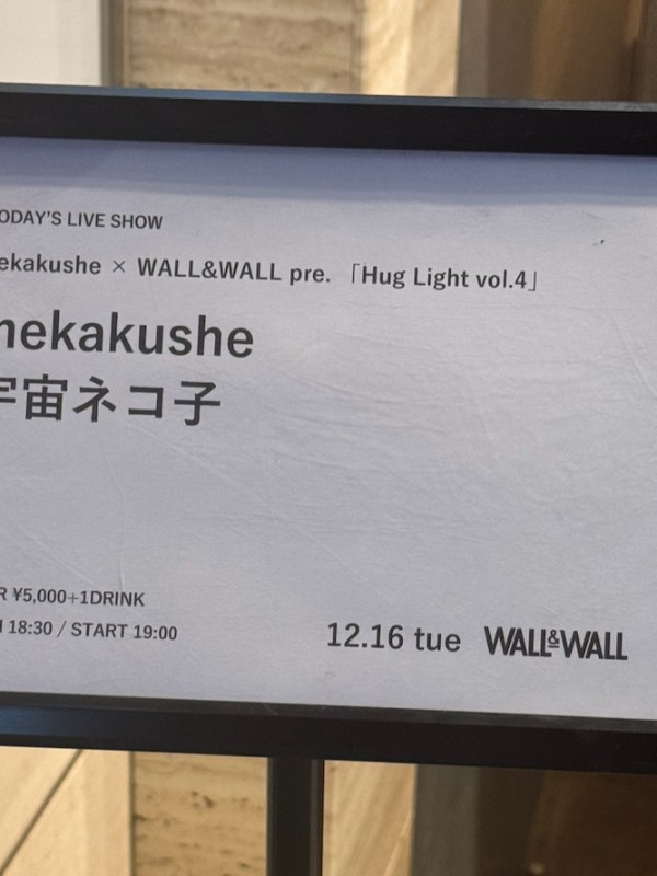 mekakushe と宇宙ネコ子