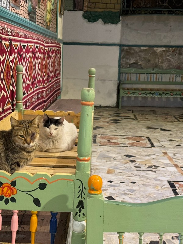 ベルベル語の調査とその後（４）