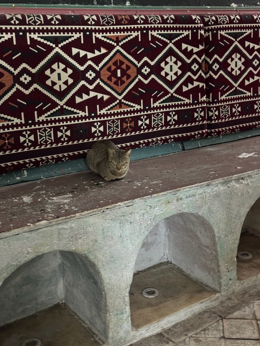 ベルベル語の調査とその後（６）