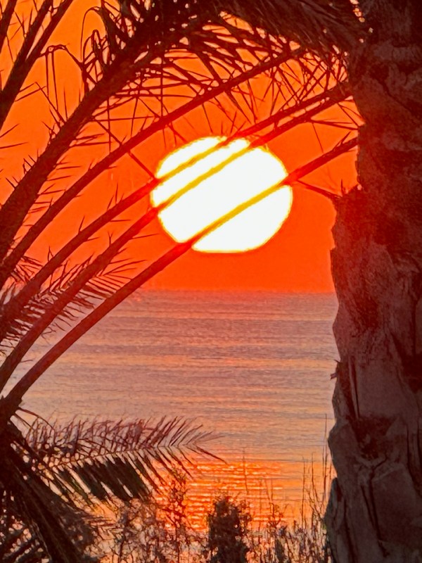 チュニジアのベルベル語（１）