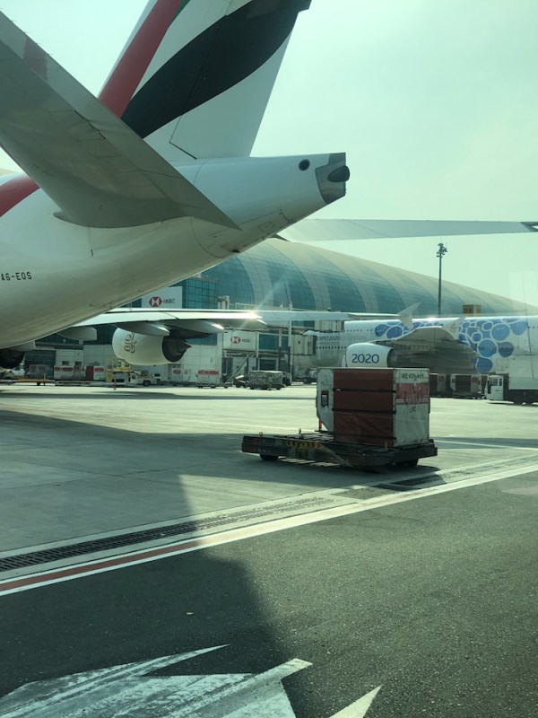 安物ガイ（チュニジアへの旅行）